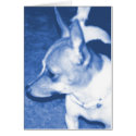 Blue Chihuahua Pop Art Card
