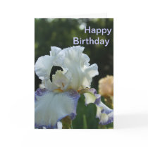 Blue chip Stock-Iris Greeting Cards
