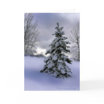 blue christmas cards by metrogirl_paris blue christmas cards