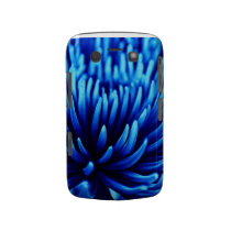 Blue Chrysanthemum flower Blackberry Bold case casemate cases