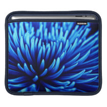 Blue Chrysanthemum flower iPad sleeve ipad sleeves
