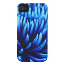 Blue Chrysanthemum flower iPhone 4 4s case casemate cases