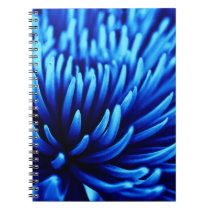 Blue Chrysanthemum flower notebook notebooks
