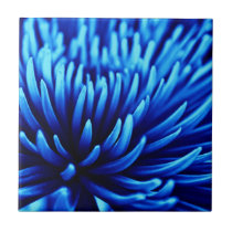Blue Chrysanthemum flower tile tiles