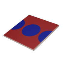 Blue Circles on Red tiles