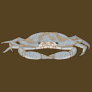 Blue Claw Crab