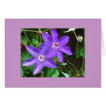 "Blue Clematis" Greeting Card