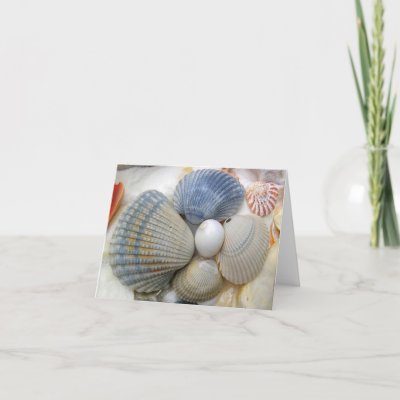 Blue Cockle Shells Cards