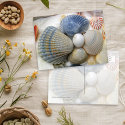 Blue Cockle Shells postcards by millhill Blue Cockle Shells postcards