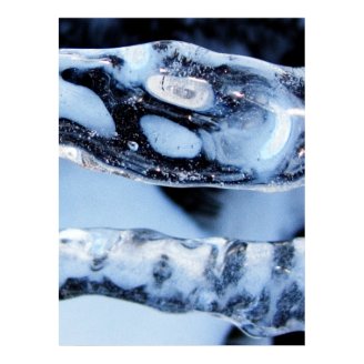 Blue Cold - Fine Art Photography Prints