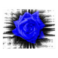 Blue colored rose on a black jagged background print