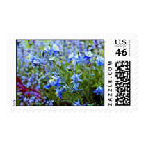 Blue Columbines - Flowers Postage