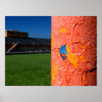 Blue Coming Through Posters