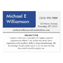 Blue Corner RESUME Business Cards business cards