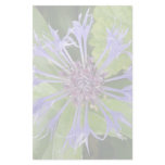Blue Cornflower Stationery