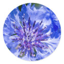 Blue Cornflower stickers