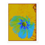 Blue Cosmos Postcard