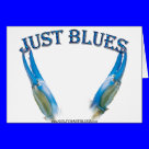 Blue Crab Claws-Just Blues