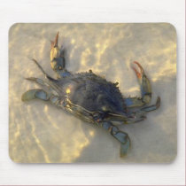 Blue Crab mousepads