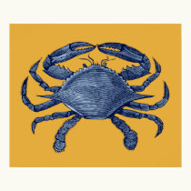 Blue crab posters