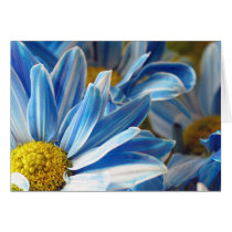 Blue Daises #2 cards