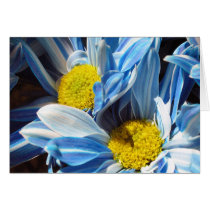 Blue Daises cards