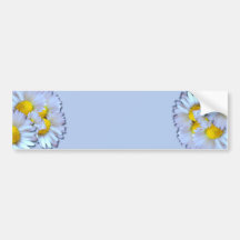 Blue Daisies Bumper Stickers
