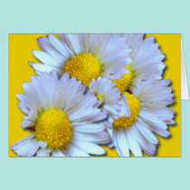 Blue Daisies cards