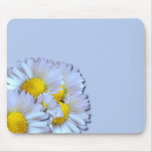 Blue Daisies Mouse Pads