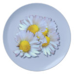 Blue Daisies Party Plate