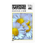 Blue Daisies Postage