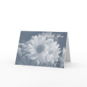 Blue Daisies Thank You Card