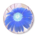 BLUE DAISY magnets by DUVELINE BLUE DAISY magnets