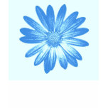 Blue Daisy