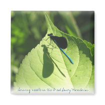 Blue darning needle, before flight magnets by skunger Blue darning needle, before flight magnets