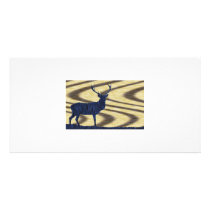 Blue Deer in walnut Photo Card