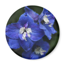 Blue Delphinium flower fridge magnet