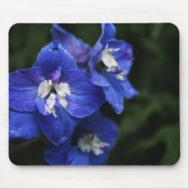 Blue Delphinium flower mouse mat mousepads