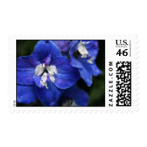 Blue Delphinium flower postage stamps