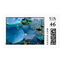 BLUE DEW POSTAGE