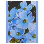 Blue Dogwood Letterhead
