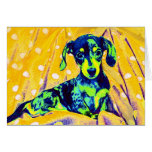 blue doxie card
