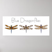 Blue Dragonflies Posters