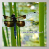 Blue Dragonfly Canvas Print