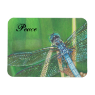 Blue Dragonfly color pencil art on Magnet Rectangular Photo Magnet