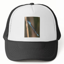 Blue Dragonfly Hat
