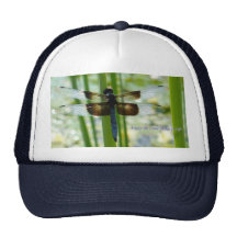 Blue Dragonfly Hat