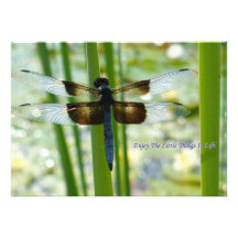 Blue Dragonfly Invitation