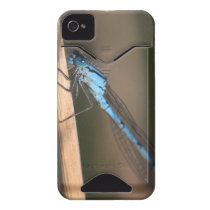 Blue Dragonfly iPhone 4/4S ID Case-Mate Id Iphone 4 Covers