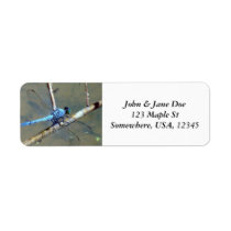 Blue DragonFly Return Address Labels